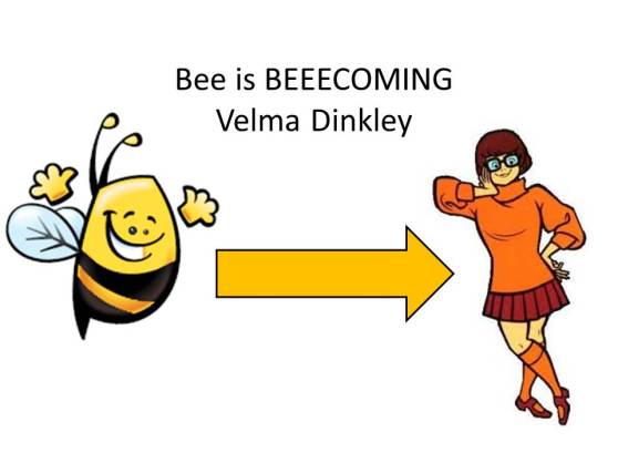2015_Bee to Velma Fundraising Page
